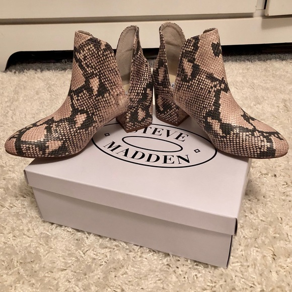 Steve Madden Rockir Snake Booties - Picture 5 of 7
